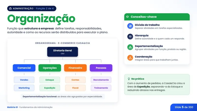 Slide: Organização